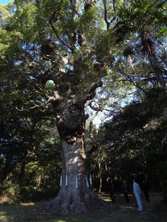 多久頭魂神社.jpg