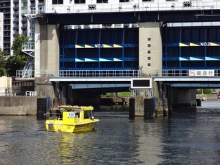 TOKYO WATER TAXI.jpg